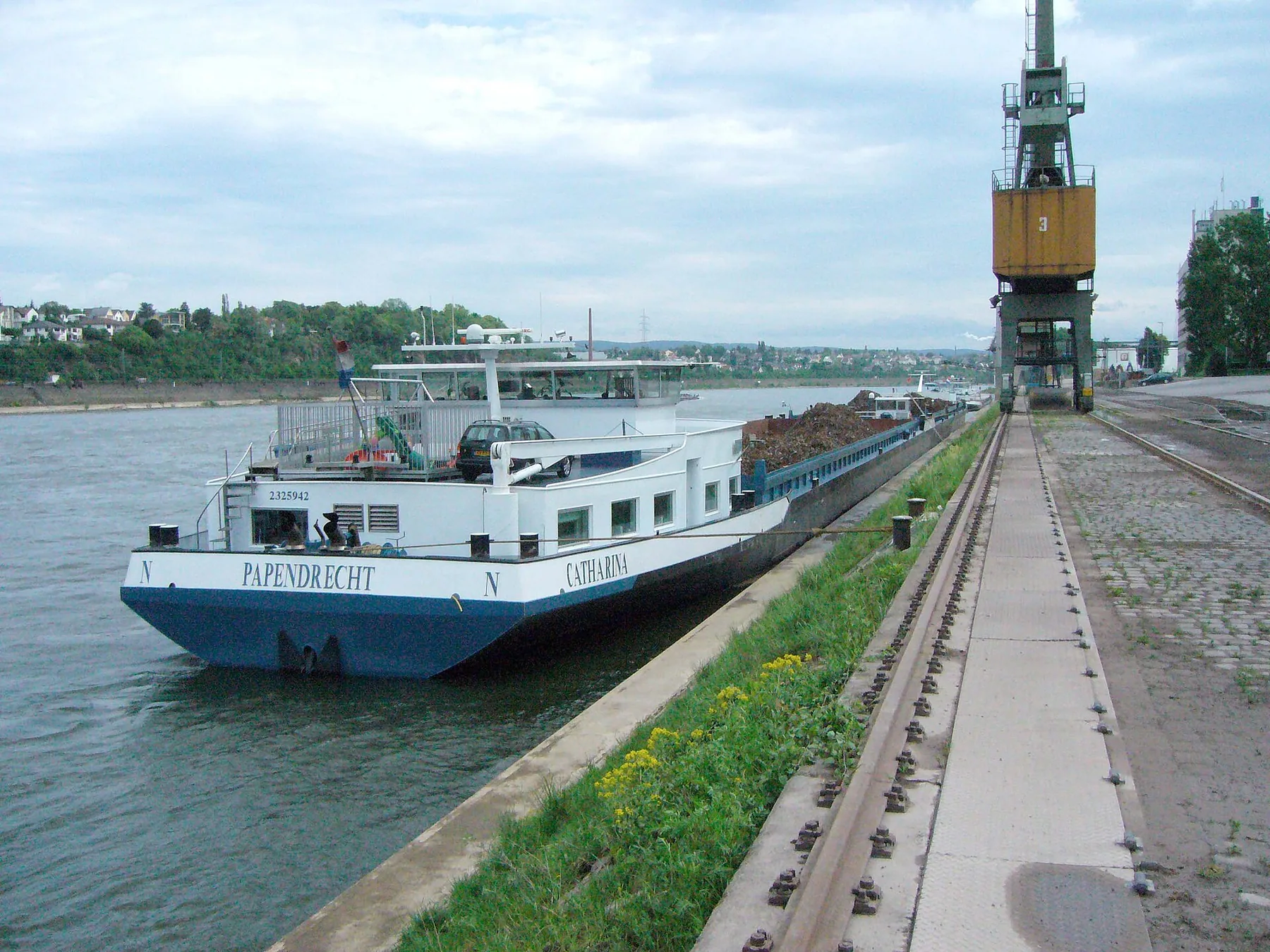 Catharina 0.jpg