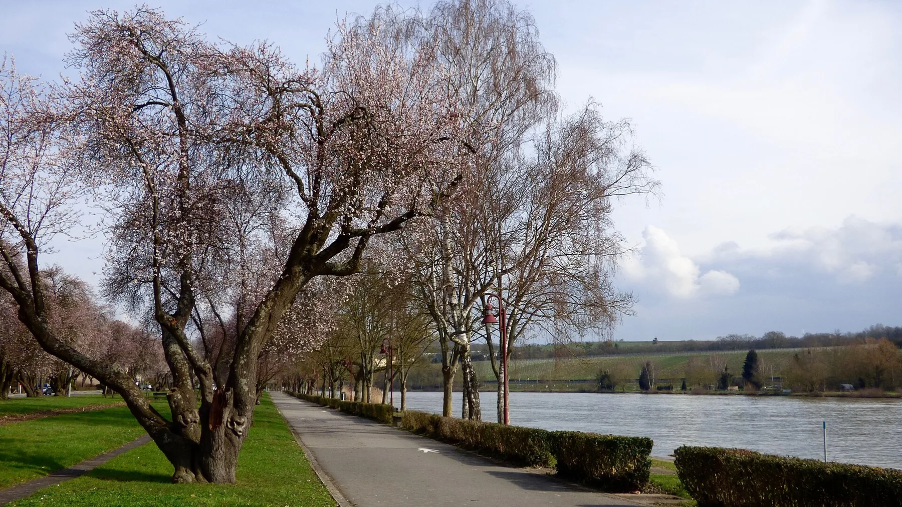 REMICH PROMENADE in February, LU.jpg