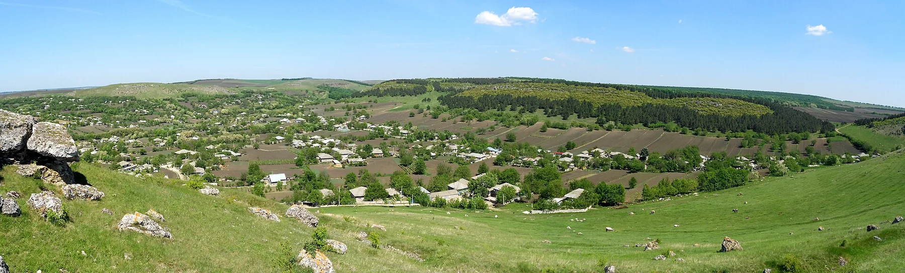 Fetești-Panorama.JPG