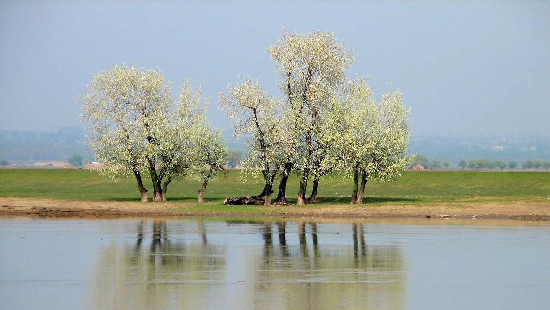 Danube, near Oltenita 01 (2477761329).jpg