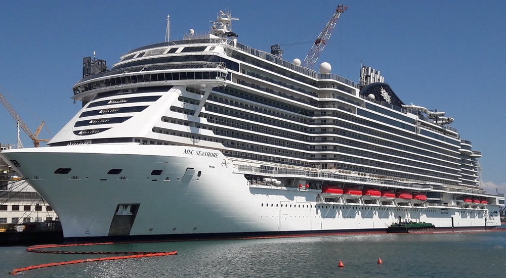 MSC Seashore ship photo 1