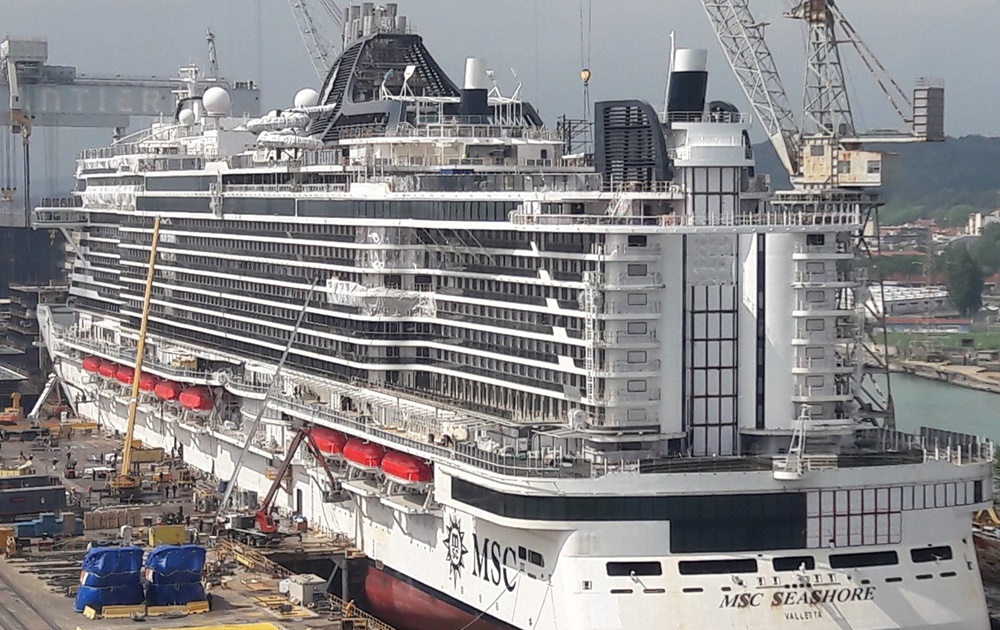 MSC Seashore ship photo 4