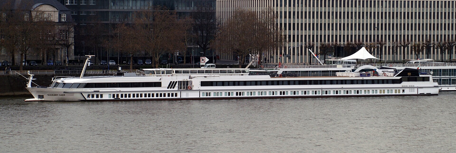 MS Elegant Lady ship photo 2