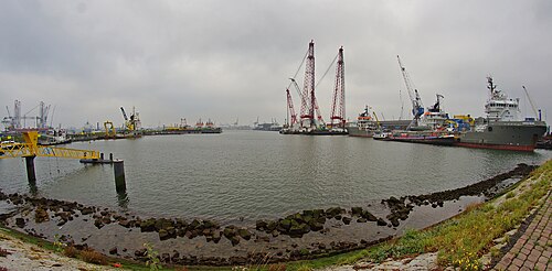ms Rotterdam ship photo 3