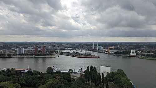 ms Rotterdam ship photo 2