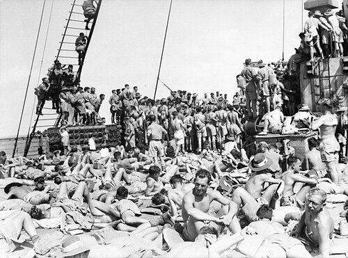 Nieuw Amsterdam ship photo 2