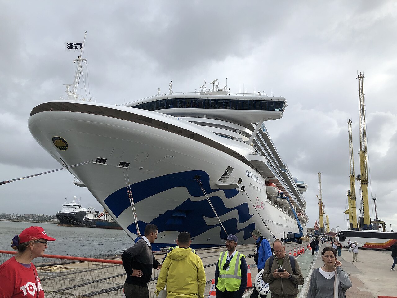 Sapphire Princess ship photo 1
