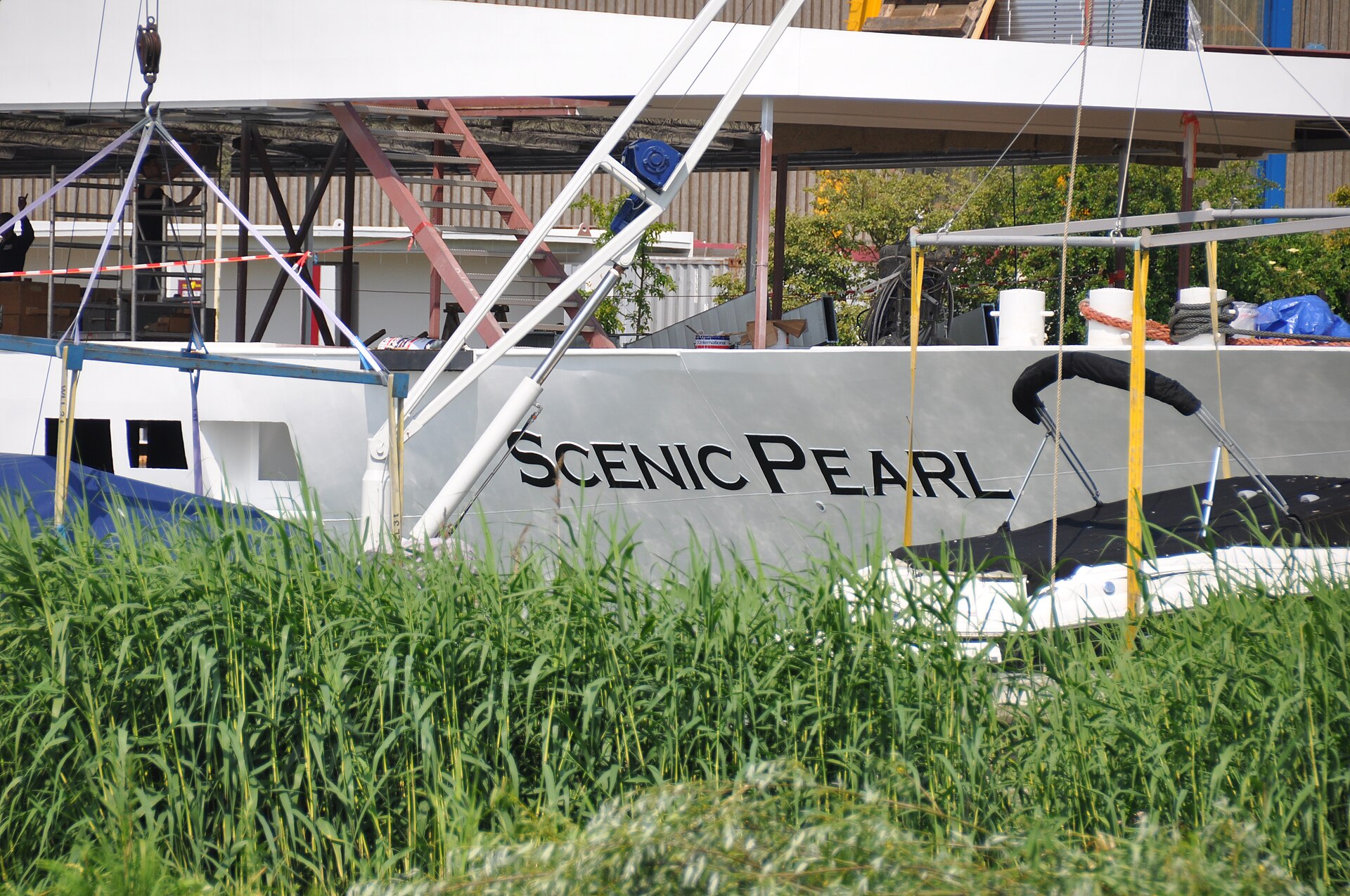 Scenic Pearl ship photo 4